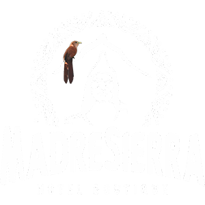 hotel cerca del parque tayrona